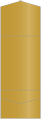 Antique Gold Pocket Invitation Style A11 (5 1/4 x 7 1/4) - 10/Pk