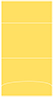 Lemon Drop Pocket Invitation Style A3 (5 1/8 x 7 1/8) 10/Pk