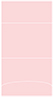 Pink Feather Pocket Invitation Style A3 (5 1/8 x 7 1/8) 10/Pk