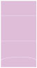 Purple Lace Pocket Invitation Style A3 (5 1/8 x 7 1/8) 10/Pk