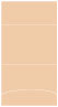 Latte Pocket Invitation Style A3 (5 1/8 x 7 1/8) 10/Pk