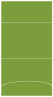 Iguana Pocket Invitation Style A3 (5 1/8 x 7 1/8) 10/Pk