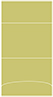 Tropical Green Pocket Invitation Style A3 (5 1/8 x 7 1/8) 10/Pk