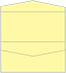 Sugared Lemon Pocket Invitation Style A4 (4 x 9) 10/Pk