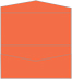 Electric Orange Pocket Invitation Style A4 (4 x 9) 10/Pk