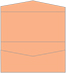 Ginger Pocket Invitation Style A4 (4 x 9) 10/Pk