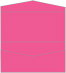 Raspberry Pocket Invitation Style A4 (4 x 9) 10/Pk