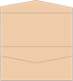 Latte Pocket Invitation Style A4 (4 x 9) 10/Pk