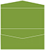 Iguana Pocket Invitation Style A4 (4 x 9) 10/Pk