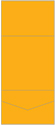 Bumble Bee Pocket Invitation Style A7 (7 1/4 x 7 1/4) 10/Pk
