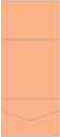 Ginger Pocket Invitation Style A7 (7 1/4 x 7 1/4) 10/Pk