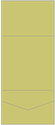 Tropical Green Pocket Invitation Style A7 (7 1/4 x 7 1/4) 10/Pk