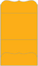 Bumble Bee Pocket Invitation Style A9 (5 1/4 x 7 1/4) - 10/Pk