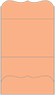 Ginger Pocket Invitation Style A9 (5 1/4 x 7 1/4) - 10/Pk