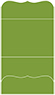 Iguana Pocket Invitation Style A9 (5 1/4 x 7 1/4) - 10/Pk