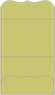 Tropical Green Pocket Invitation Style A9 (5 1/4 x 7 1/4) - 10/Pk