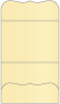 Caramel Pocket Invitation Style A9 (5 1/4 x 7 1/4) - 10/Pk