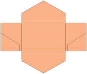 Ginger Pocket Invitation Style B3 (5 3/4 x 8 3/4) - 10/Pk