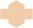 Latte Pocket Invitation Style B3 (5 3/4 x 8 3/4) - 10/Pk