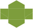 Iguana Pocket Invitation Style B3 (5 3/4 x 8 3/4) - 10/Pk