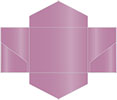 Punch Pocket Invitation Style B3 (5 3/4 x 8 3/4) - 10/Pk