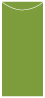 Iguana Jacket Invitation Style A1 (4 x 9) - 10/Pk