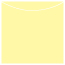 Sugared Lemon Jacket Invitation Style A3 (5 5/8 x 5 5/8) - 10/Pk