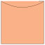 Ginger Jacket Invitation Style A3 (5 5/8 x 5 5/8) - 10/Pk