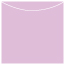 Purple Lace Jacket Invitation Style A3 (5 5/8 x 5 5/8) - 10/Pk