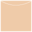 Latte Jacket Invitation Style A3 (5 5/8 x 5 5/8) - 10/Pk