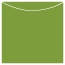 Iguana Jacket Invitation Style A3 (5 5/8 x 5 5/8) - 10/Pk