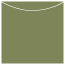 Cactus Jacket Invitation Style A3 (5 5/8 x 5 5/8) - 10/Pk