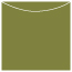 Olive Jacket Invitation Style A3 (5 5/8 x 5 5/8) - 10/Pk