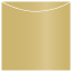 Gold Leaf Jacket Invitation Style A3 (5 5/8 x 5 5/8) - 10/Pk