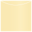 Caramel Jacket Invitation Style A3 (5 5/8 x 5 5/8) - 10/Pk