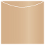 Cappuccino Jacket Invitation Style A3 (5 5/8 x 5 5/8) - 10/Pk