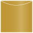 Antique Gold Jacket Invitation Style A3 (5 5/8 x 5 5/8) - 10/Pk