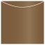 Bronze Jacket Invitation Style A3 (5 5/8 x 5 5/8) - 10/Pk