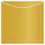 Olive Jacket Invitation Style A3 (5 5/8 x 5 5/8) - 10/Pk