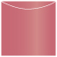 Azalea Jacket Invitation Style A3 (5 5/8 x 5 5/8) - 10/Pk