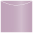 Violet Jacket Invitation Style A3 (5 5/8 x 5 5/8) - 10/Pk