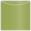 Fairway Jacket Invitation Style A3 (5 5/8 x 5 5/8) - 10/Pk