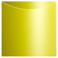 Green Silk Jacket Invitation Style A3 (5 5/8 x 5 5/8) - 10/Pk