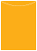 Bumble Bee Jacket Invitation Style A4 (3 3/4 x 5 1/8) - 10/Pk