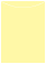 Sugared Lemon Jacket Invitation Style A4 (3 3/4 x 5 1/8) - 10/Pk