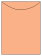 Ginger Jacket Invitation Style A4 (3 3/4 x 5 1/8) - 10/Pk