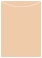 Latte Jacket Invitation Style A4 (3 3/4 x 5 1/8) - 10/Pk