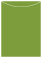 Iguana Jacket Invitation Style A4 (3 3/4 x 5 1/8) - 10/Pk