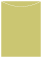 Tropical Green Jacket Invitation Style A4 (3 3/4 x 5 1/8) - 10/Pk