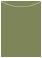 Cactus Jacket Invitation Style A4 (3 3/4 x 5 1/8) - 10/Pk